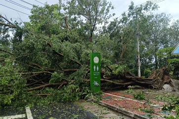 吕氏贵宾会(中国区)官方网站